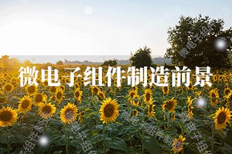 2024年微电子组件制造发展前景 趋势预测(图1) 2024年微电子组件制造发展前景 趋势预测(图1)