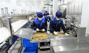 2024年集成电路制造行业市场发展现状及未来发展前景分析(图6) 2024年集成电路制造行业市场发展现状及未来发展前景分析(图6)