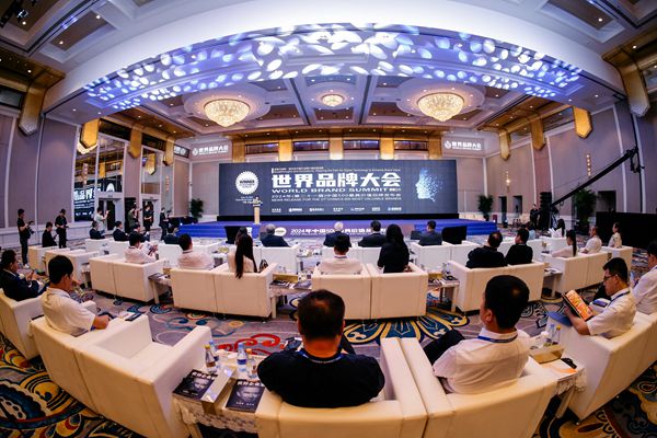 新民晚报品牌价值达69185亿！2024年中国500最具价值品牌发布(图3)