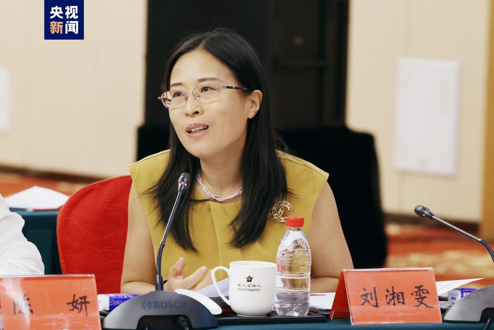 中央广播电视总台《2024中国·AI盛典》研讨会在京召开(图13)